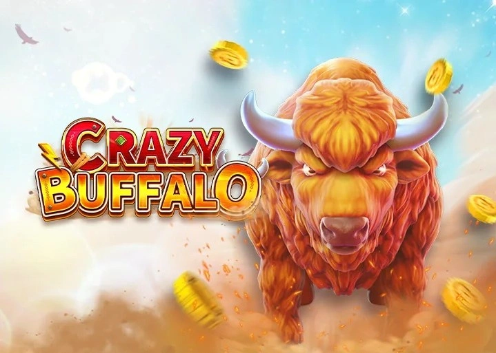 crazy-buffalo